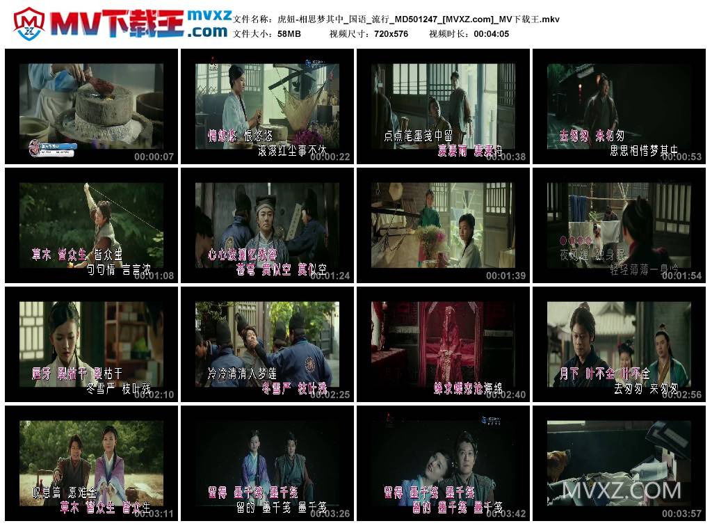 虎妞-相思梦其中_国语_流行_MD501247